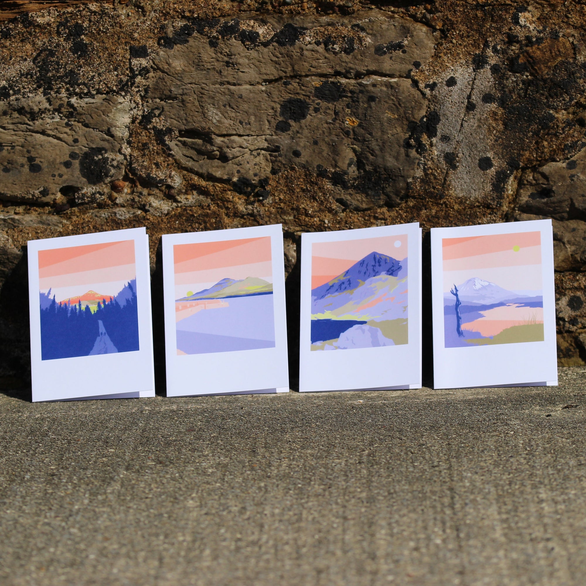 Box of Sliabh Greeting Cards, Pawpear