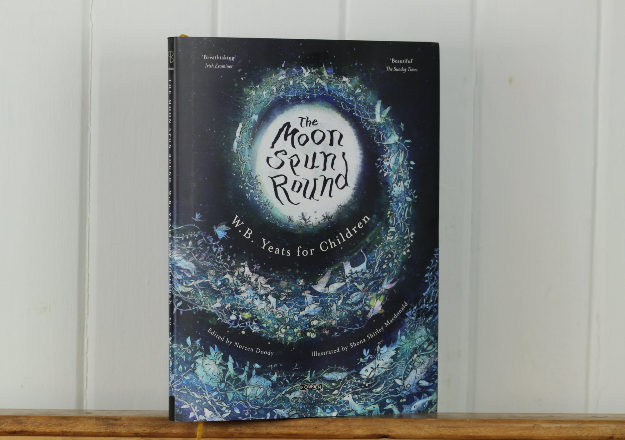W.B. Yeats for Children, The Moon Spun Round
