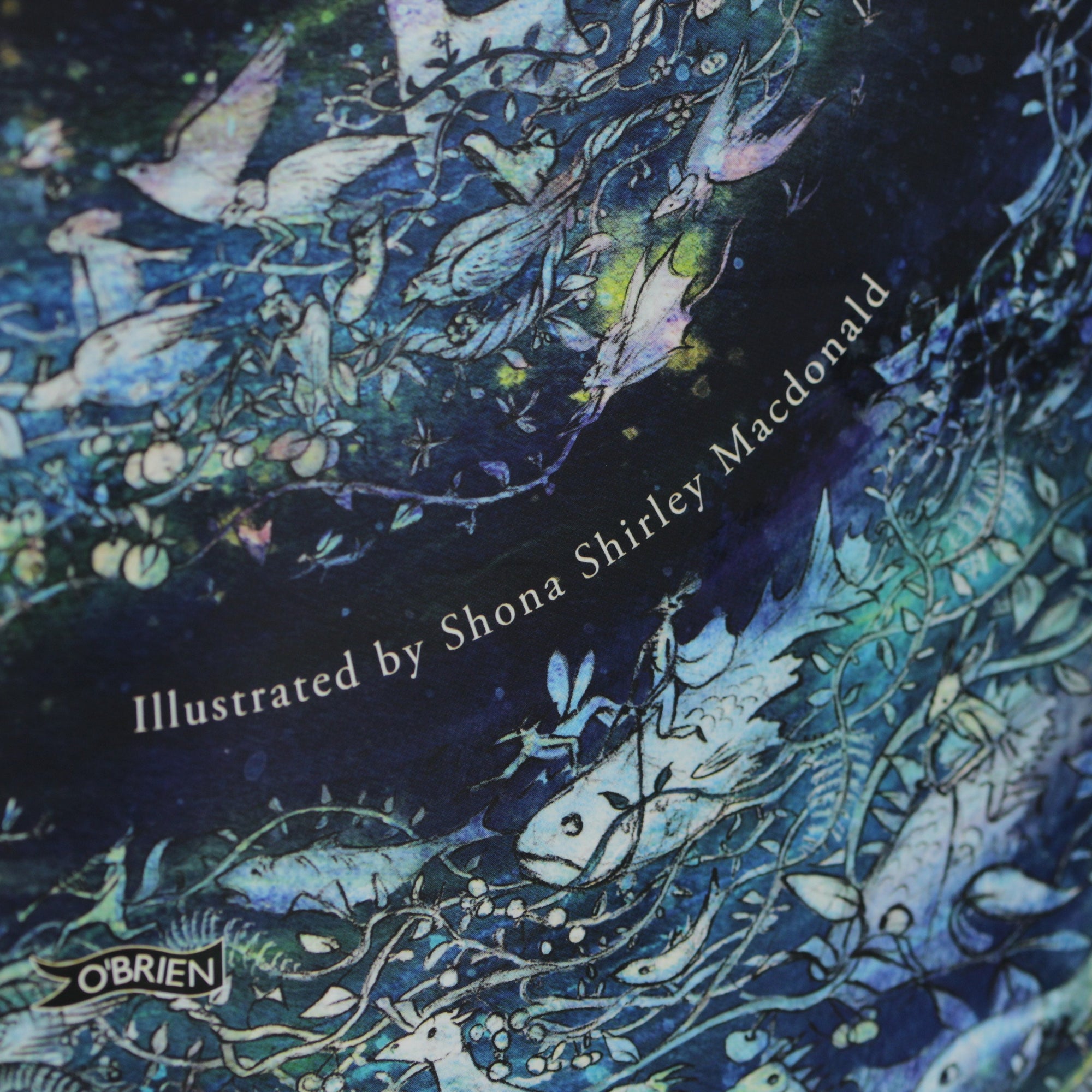 W.B. Yeats for Children, The Moon Spun Round